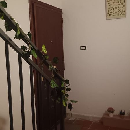 Casa Selinunte Lägenhet Palermo Exteriör bild